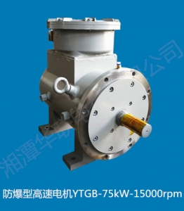 湖南防爆型高速电机YTGB-75kW-15000rpm