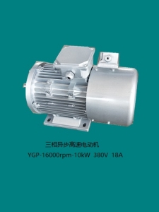 武汉YGP-10kW-16000rpm 三相异步电机