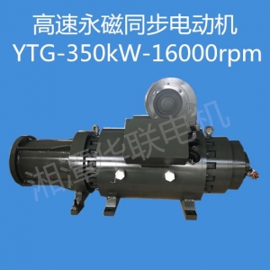 益阳高速永磁同步电动机YTG-350kW-16000rpm