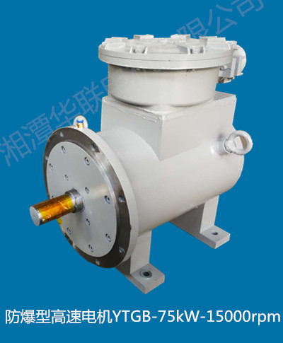 湖南防爆型高速电机YTGB-75kW-15000rpm